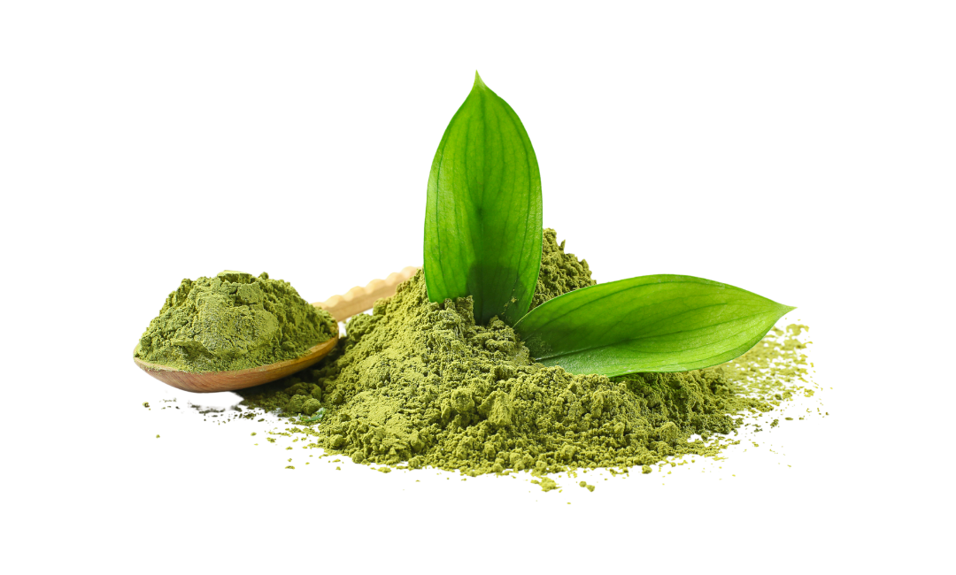 Wolves Matcha WOLF PACK (350 Calorie) Endurance Meal for Athletes by Spring Energy ...